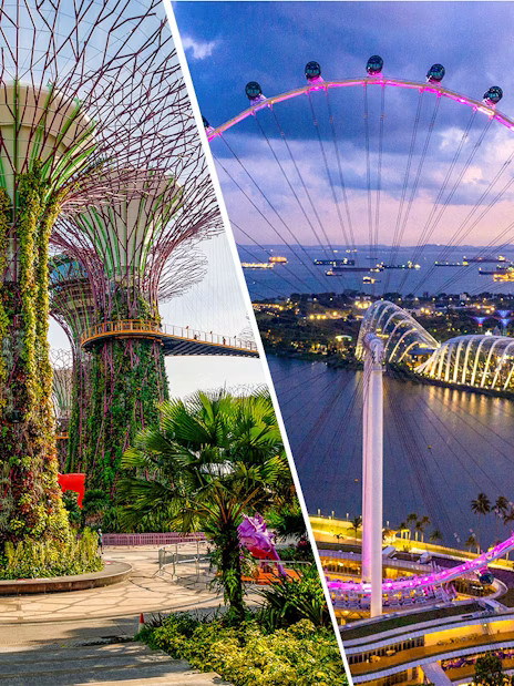 Combo: Gardens by the Bay + Singapore Flyer Tickets - Image 1