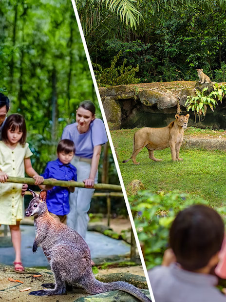 2-Park Combo: Night Safari + Singapore Zoo Tickets - Image 1