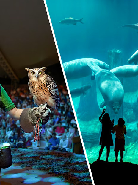 2-Park Combo: Night Safari + River Wonders Tickets - Image 1