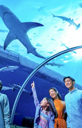 Oceanarium™ Singapore Tickets - Image 1